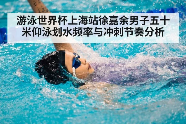 游泳世界杯上海站徐嘉余男子五十米仰泳划水频率与冲刺节奏分析